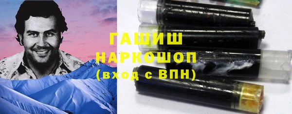 индика Верхний Тагил