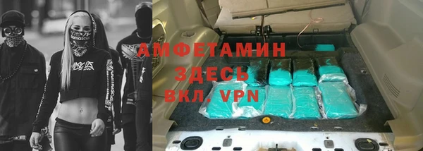 индика Белокуриха