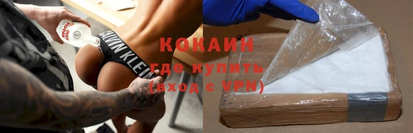 индика Белокуриха