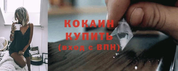 индика Белокуриха