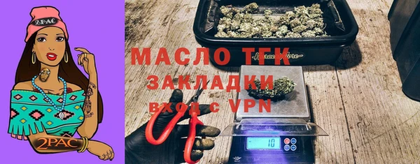 индика Белокуриха