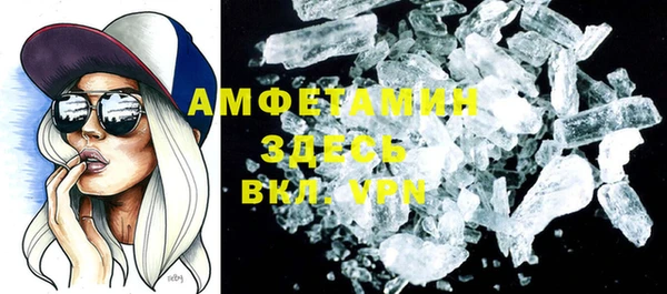 индика Белокуриха