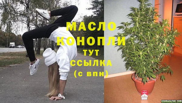 индика Белокуриха